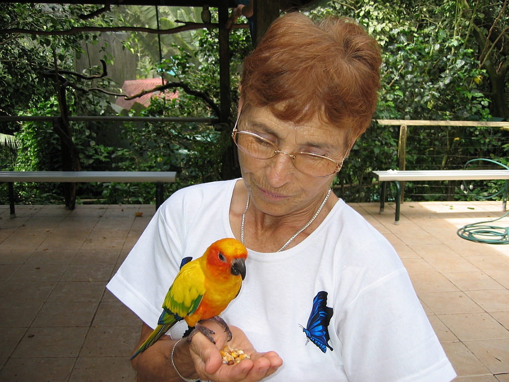 036 Birdworld Kuranda.jpg
